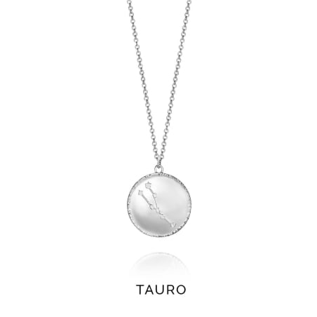 Stříbrný náhrdelník znamení Býk Horoscopo 61014C000-38T Viceroy