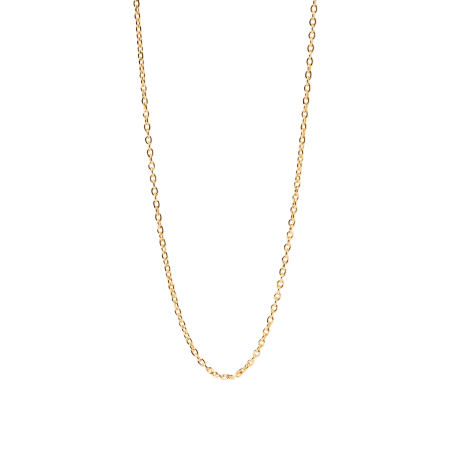 Pozlacený řetízek ze stříbra na přívěsky CHARMS Anker CO01-439-U Pdpaola