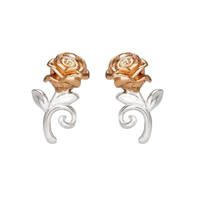 Překrásné stříbrné náušnice pecky Princess E905453TL Disney