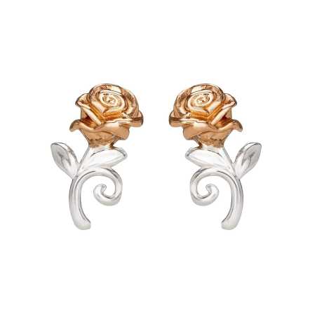 Překrásné stříbrné náušnice pecky Princess E905453TL Disney