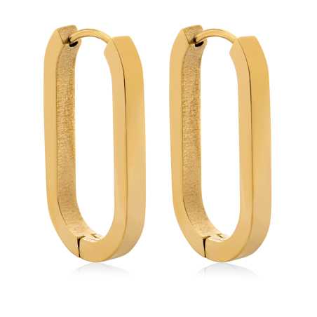 Nestárnoucí pozlacené oválné náušnice VAAXF342G Troli