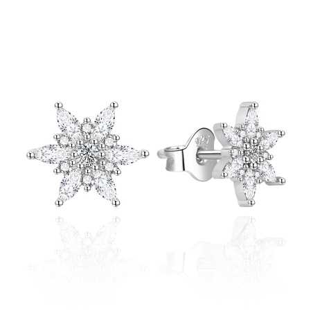 Okouzlující stříbrné náušnice Sněhové vločky AGT-E005PW Agato