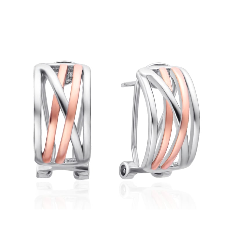 Elegantní bicolor náušnice se zirkony AGT-E123KK-2T Agato Elegantní bicolor náušnice se zirkony AGT-E123KK-2T Agato