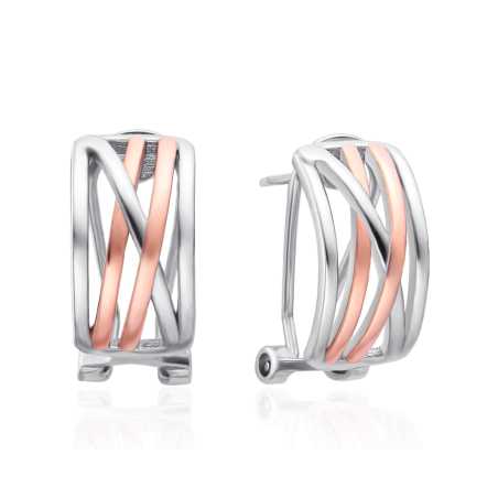 Elegantní bicolor náušnice se zirkony AGT-E123KK-2T Agato