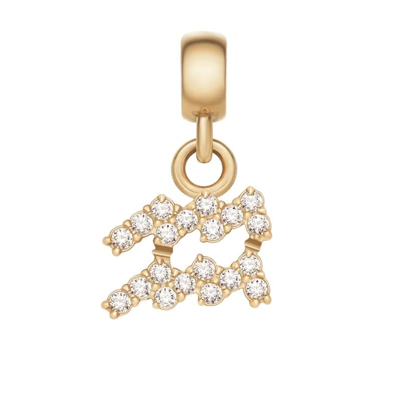 Pozlacený přívěsek s krystaly Vodnář Crystal Zodiac DW00400764 Daniel Wellington