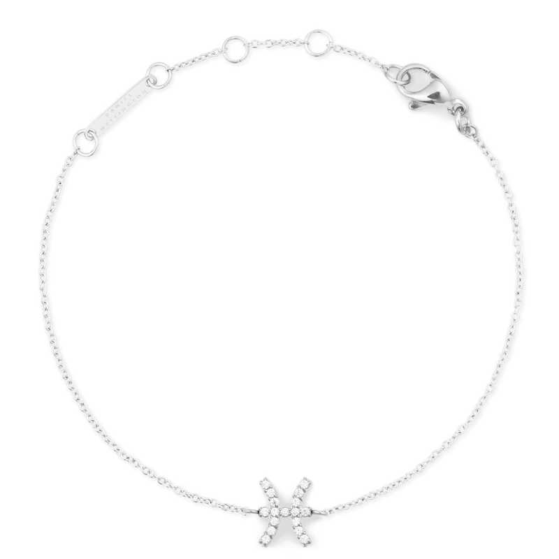 Ocelový řetízkový náramek znamení Ryby Crystal Zodiac DW00400942 Daniel Wellington