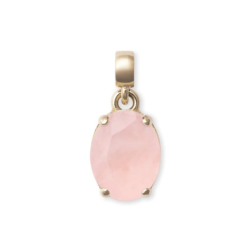 Půvabný pozlacený přívěsek s růženínem Charms DW00401459 Daniel Wellington Půvabný pozlacený přívěsek s růženínem Charms DW00401459 Daniel Wellington