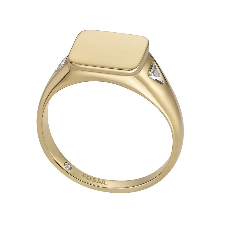 Pozlacený dámský prsten z oceli Ellis JF04791710 Fossil / Obvod: 54 mm - 54 mm Pozlacený dámský prsten z oceli Ellis JF04791710 Fossil / Obvod: 54 mm - 54 mm