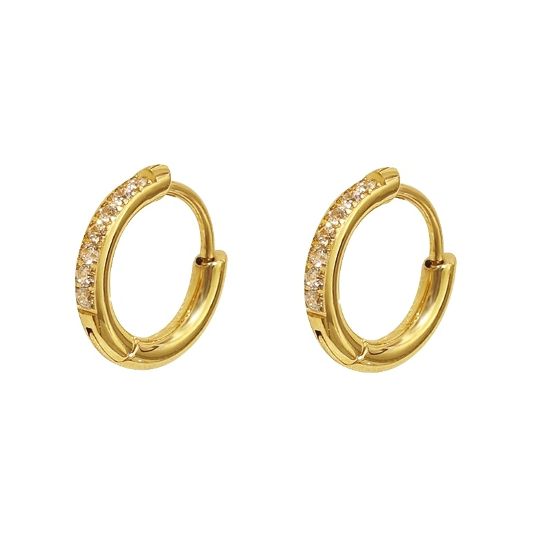 Kruhové náušnice z pozlacené oceli se zirkony VHLLE2008G Troli