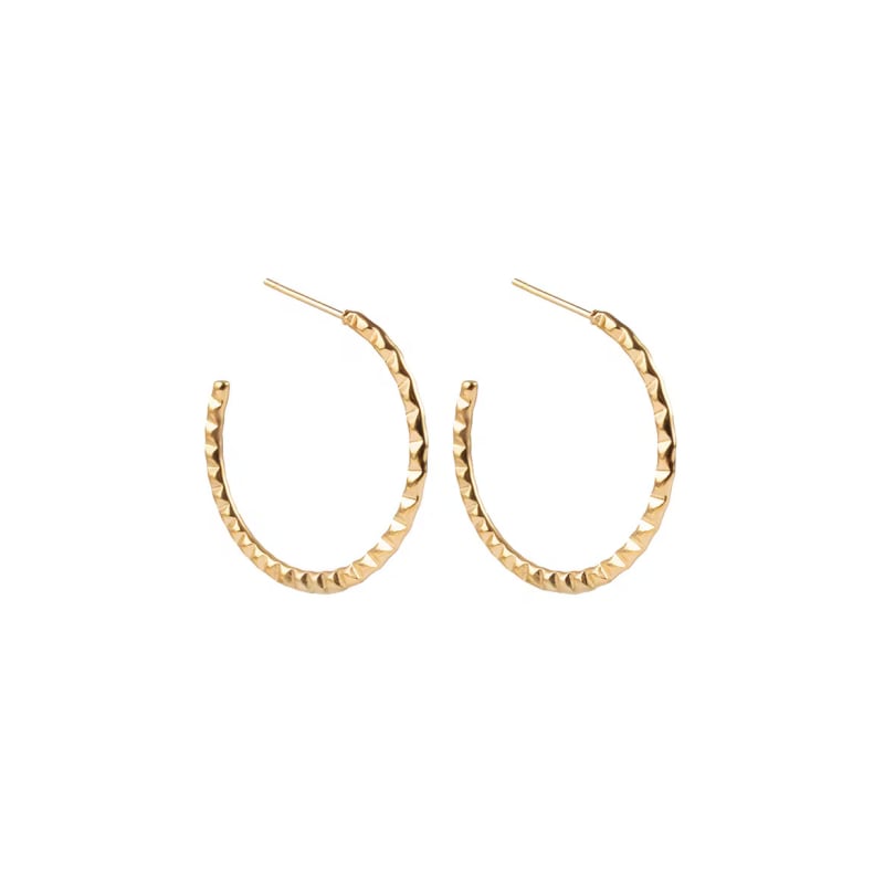 Stylové pozlacené kruhy Priselle EWE250304G Emily Westwood Stylové pozlacené kruhy Priselle EWE250304G Emily Westwood