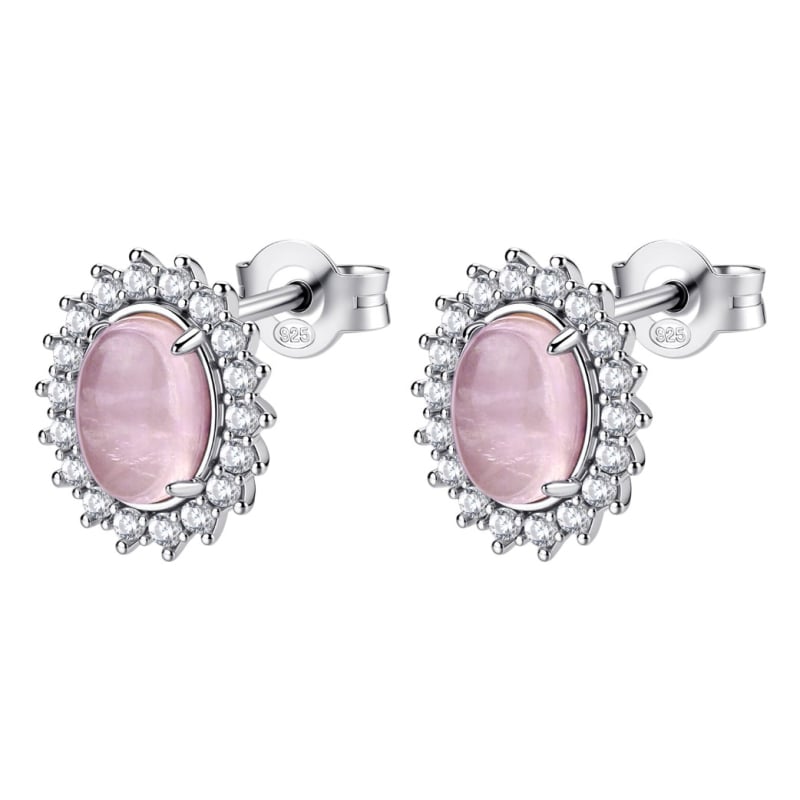 Okouzlující stříbrné náušnice Fancy Vibrant Pink FVP123 Brosway Okouzlující stříbrné náušnice Fancy Vibrant Pink FVP123 Brosway