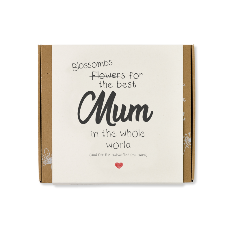 Blossombs Semínkové bomby - Dárková sada střední "Pro nejlepší maminku" (9 ks) - originální dárek pro maminku Blossombs Semínkové bomby - Dárková sada střední "Pro nejlepší maminku" (9 ks) - originální dárek pro maminku