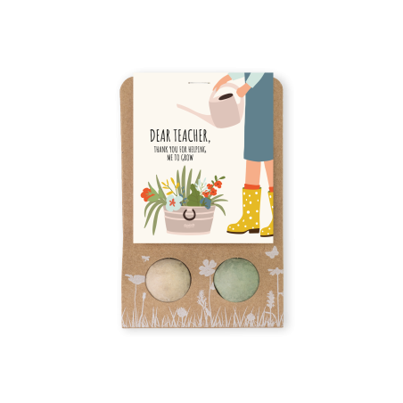 Blossombs Semínkové bomby - Drobný dáreček pro učitele - Květiny (2 ks)