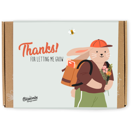 Blossombs Semínkové bomby - Dárková sada menší pro učitele - Zajíček (7 ks)