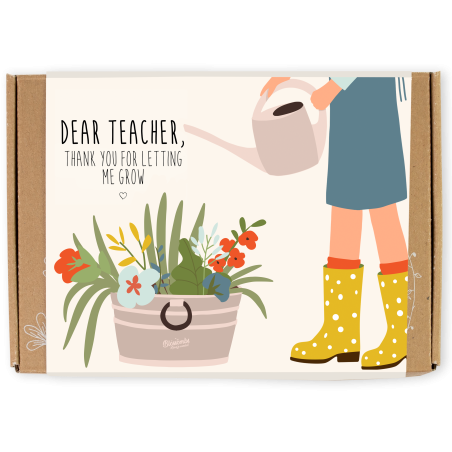 Blossombs Semínkové bomby - Dárková sada menší pro učitele - Květiny (7 ks)