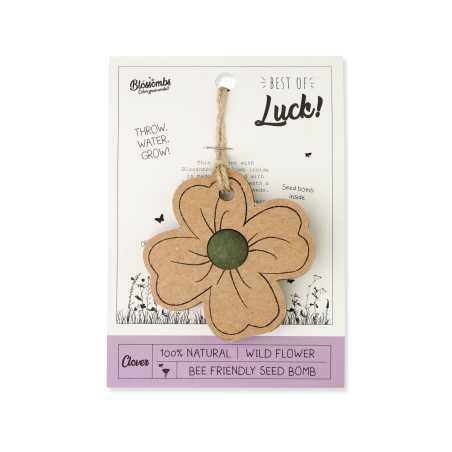 Blossombs Semínková bomba - Dárková dekorace "Hodně štěstí" - Čtyřlístek (1 ks) - originální a praktický dárek v jednom