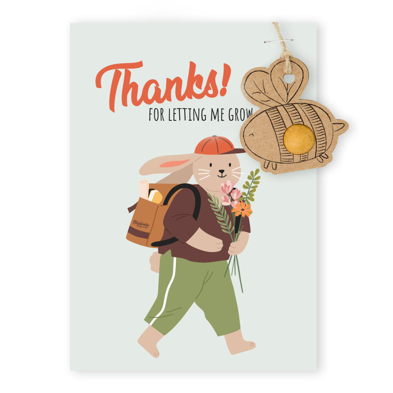 Blossombs Semínková bomba - Dárková dekorace pro učitele - Včelka (1 ks) Blossombs Semínková bomba - Dárková dekorace pro učitele - Včelka (1 ks)