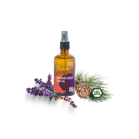 Natasha Osvěžovač vzduchu - Sladké sny (100 ml) - zklidní a připraví na spánek