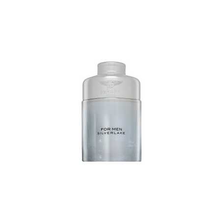 Bentley Silverlake EDP M 100 ml