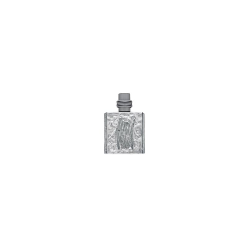 Cerruti 1881 Silver EDT M 100 ml Cerruti 1881 Silver EDT M 100 ml