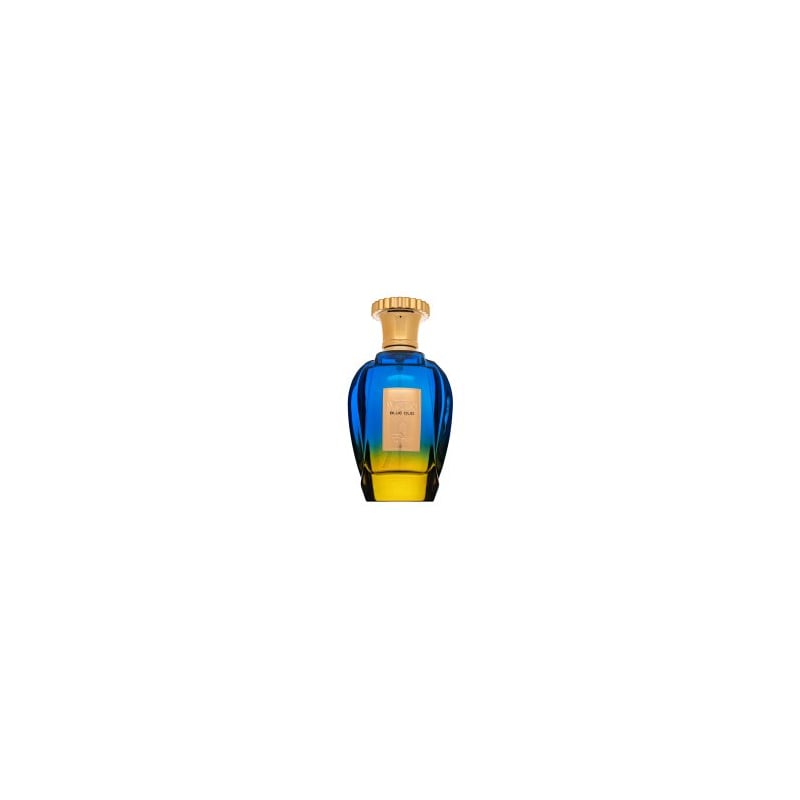 Emir Voux Blue Oud EDP U 100 ml
