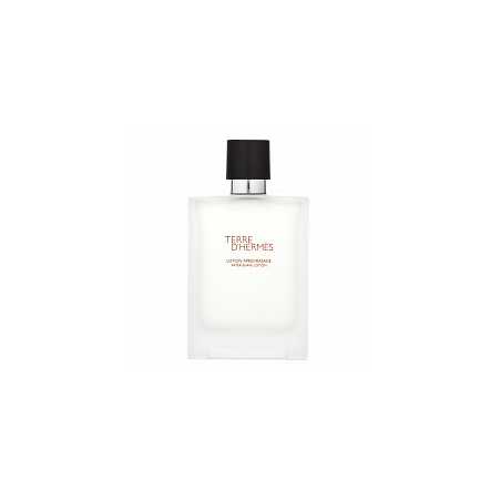 Hermes Terre D'Hermes ASW M 100 ml