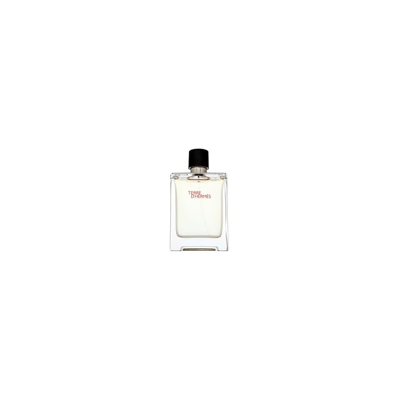 Hermes Terre D'Hermes EDT M 100 ml