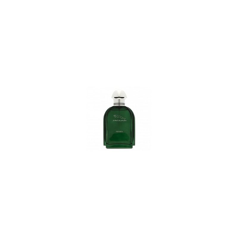 Jaguar Jaguar for Men EDT M 100 ml