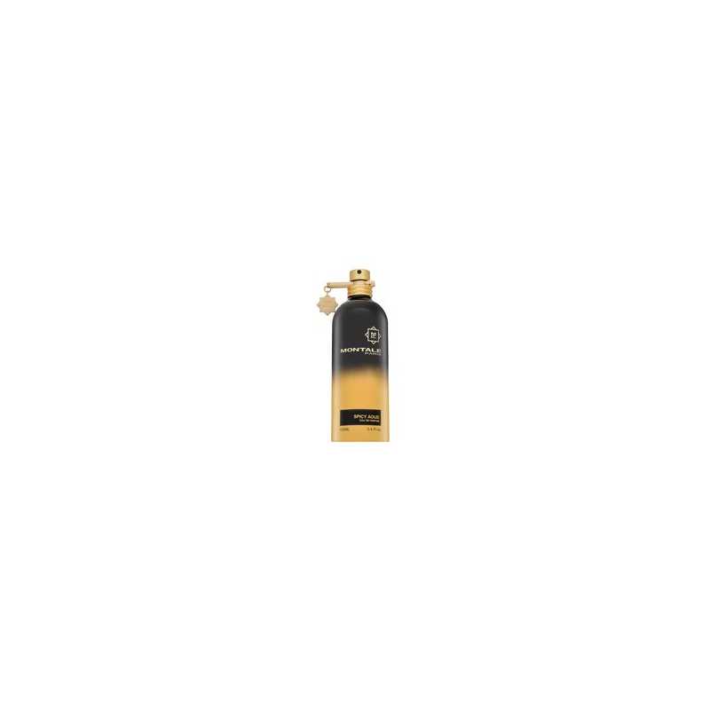 Montale Spicy Aoud EDP U 100 ml