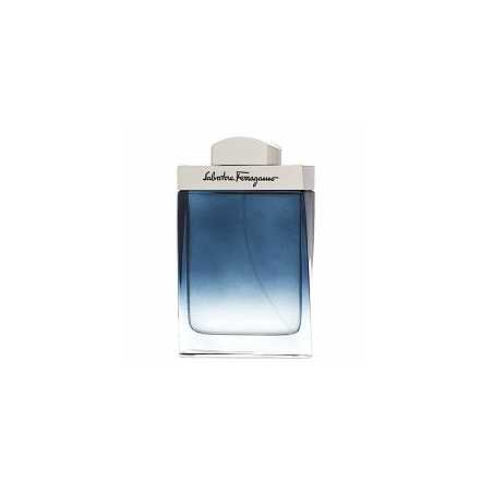 Salvatore Ferragamo Subtil Pour Homme EDT M 100 ml