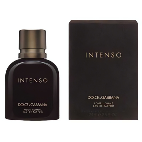 Pour Homme Intenso / EDP Dolce & Gabbana - 125 ml