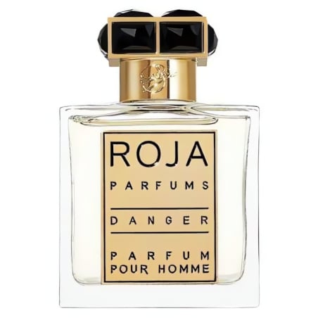 Danger Pour Homme / parfém Roja - 50 ml