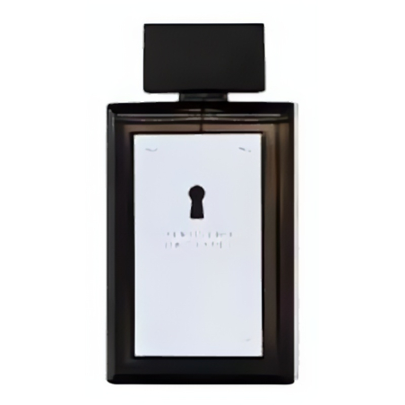 Antonio Banderas The Secret EDT M 100 ml