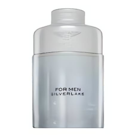 Bentley Silverlake EDP M 100 ml