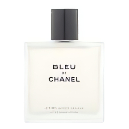 Chanel Bleu de Chanel ASW M 100 ml