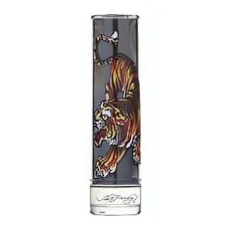 Christian Audigier Ed Hardy For Men EDT M 100 ml