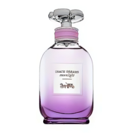 Coach Dreams Moonlight EDP W 60 ml