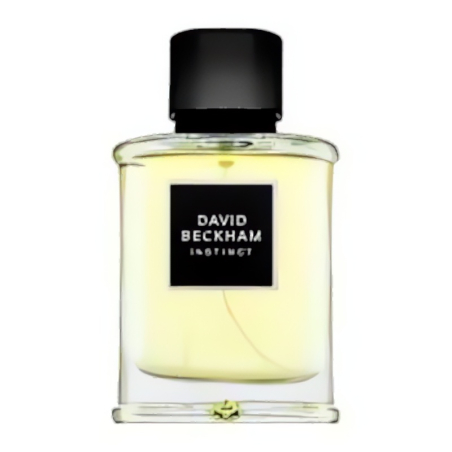 David Beckham Instinct EDP M 75 ml