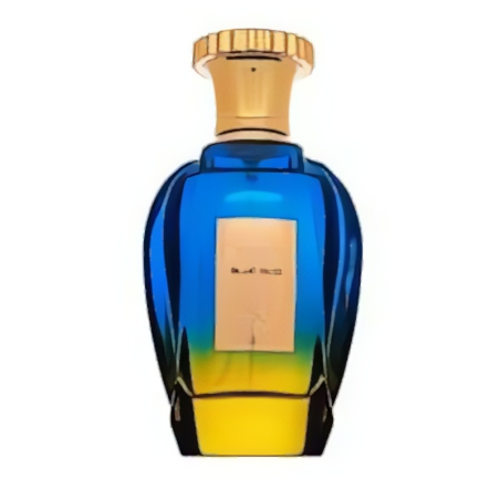 Emir Voux Blue Oud EDP U 100 ml