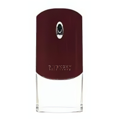 Givenchy Pour Homme EDT M 100 ml