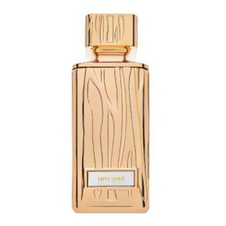 Hamidi Envy Gold EDP W 100 ml