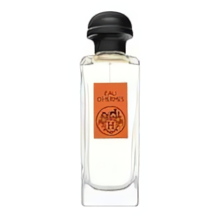 Hermes Eau D´Hermes EDT U 100 ml
