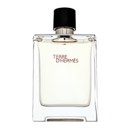Hermes Terre D'Hermes EDT M 100 ml