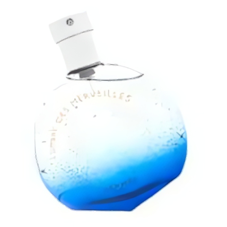 Hermès L'Ombre Des Merveilles EDP U 50 ml