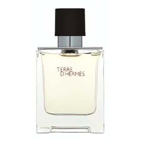 Hermès Terre D'Hermes EDT M 50 ml