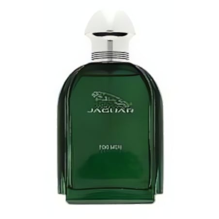 Jaguar Jaguar for Men EDT M 100 ml