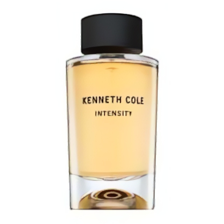 Kenneth Cole Intensity EDT U 100 ml