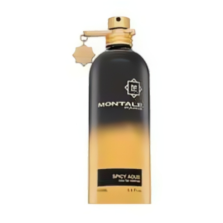 Montale Spicy Aoud EDP U 100 ml