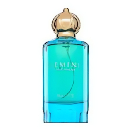 Riiffs Gemini EDP W 100 ml