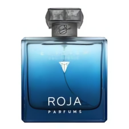 Roja Parfums Elysium Eau Intense EDP M 100 ml